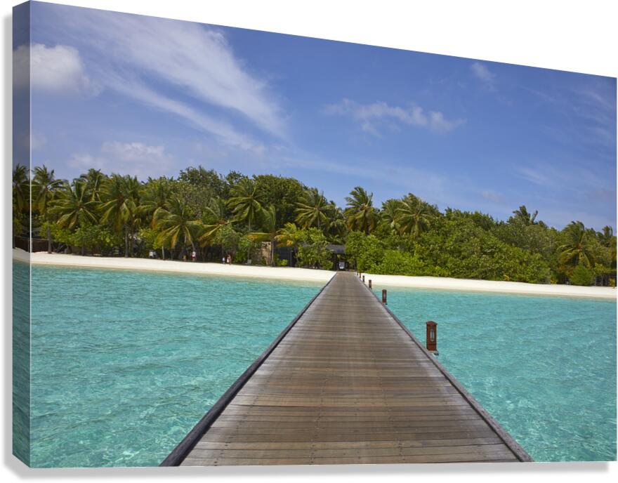4X5A5367 Canvas Print