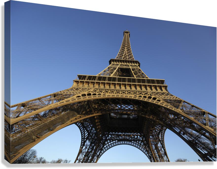 IMG 2723 Canvas Print