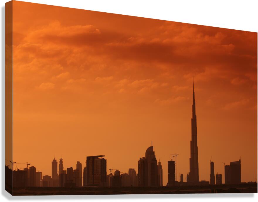 IMG 2170 Canvas Print