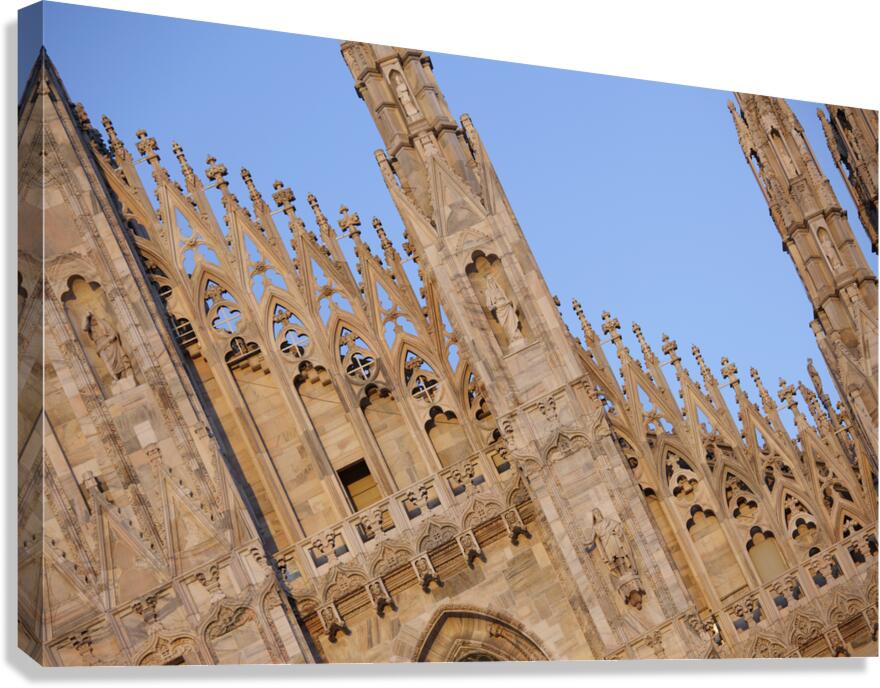 IMG 3142 Canvas Print
