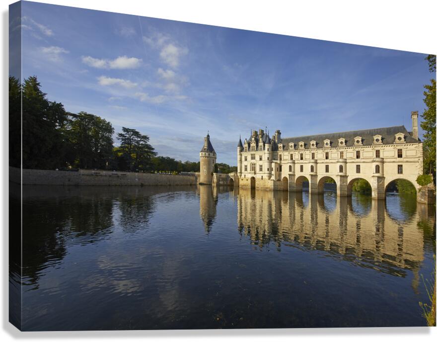 4X5A5019 Canvas Print