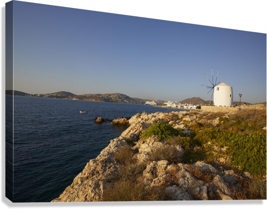 4X5A0264 Canvas Print