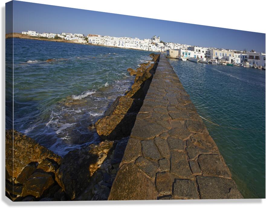4X5A9489 Canvas Print