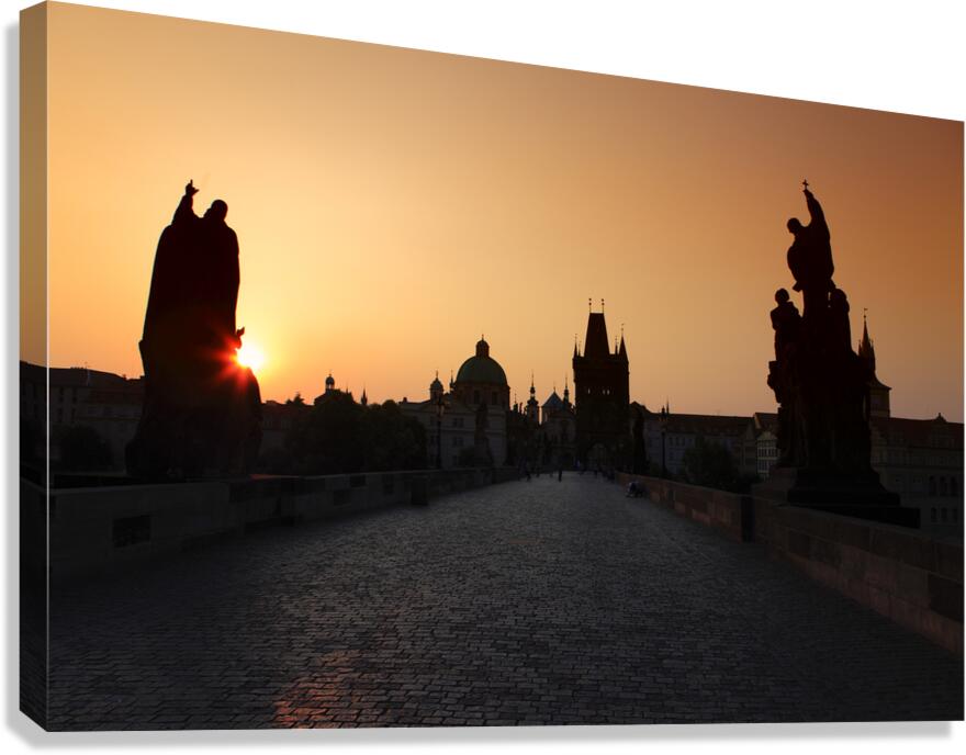 IMG 0313 Canvas Print