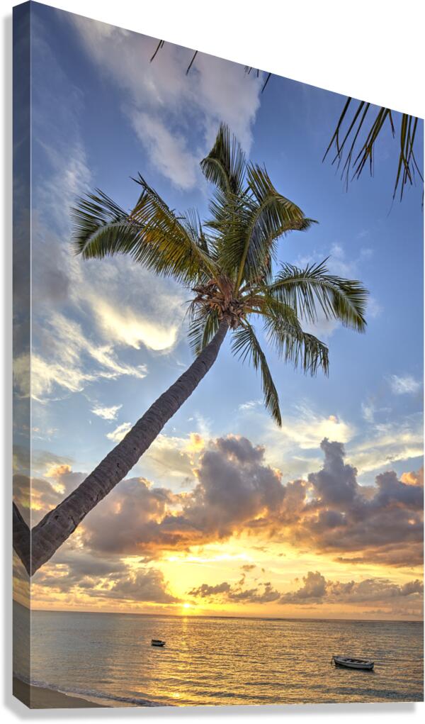IMG 8689H Canvas Print