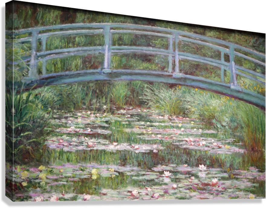 IMG 0484 Canvas Print