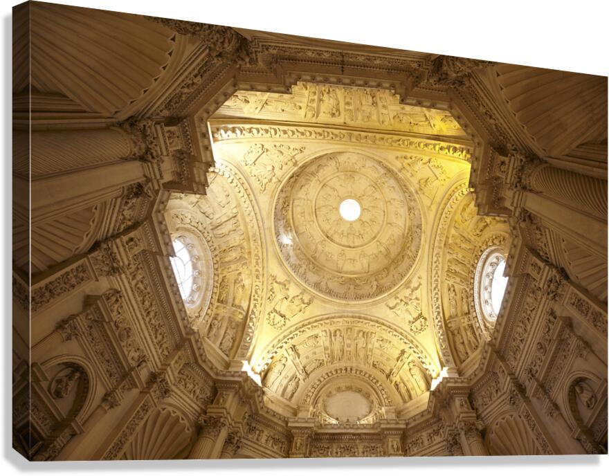 IMG 6980 Canvas Print