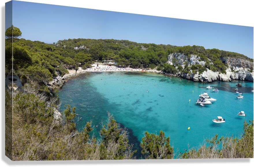 SP Minorca1 Canvas Print