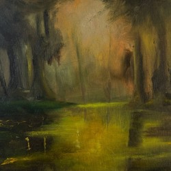 Sunlit Swampland