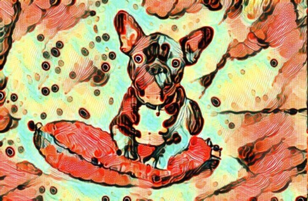  Drawing illustration painting of  a bulldog    by Smithson