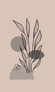 Trendy design c