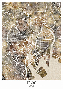 Tokyo Japan City Road Map