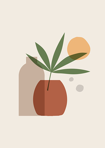 Colorful Plant leaves