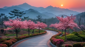Road with Pink Flowers