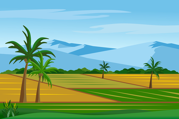 Beautiful rice and paddy fields by Point Art