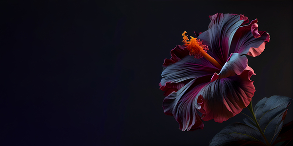  Petunia flower in black background by Point Art