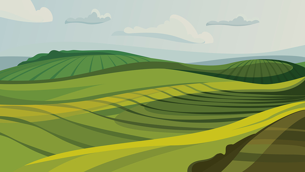 Agricultural fields Print