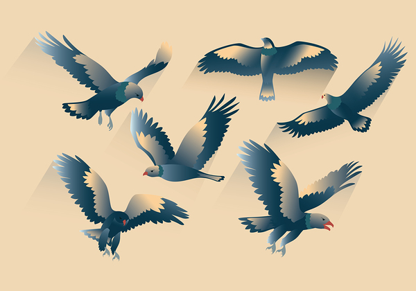 Bird Of Prey by Point Art