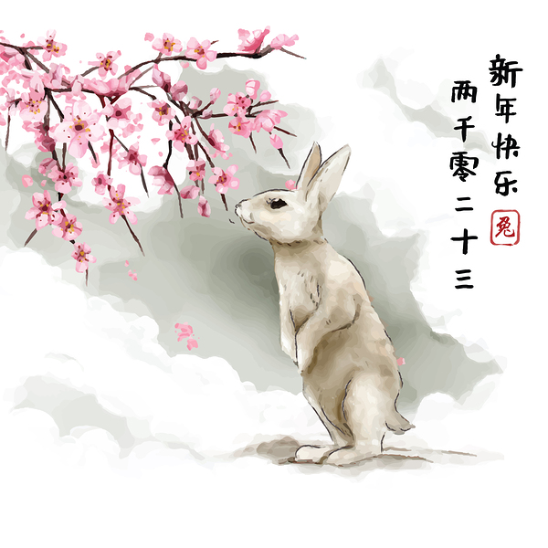 Happy new year of rabbit   by Point Art