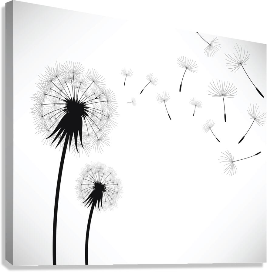 Dandelion Flower Canvas Print