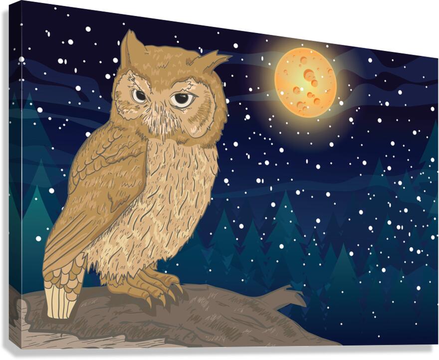  Owl with Moon Canvas Print