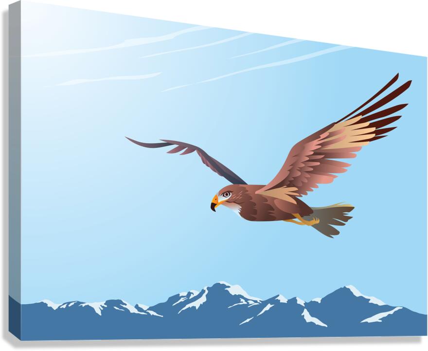 Buzzard Flying Canvas Print