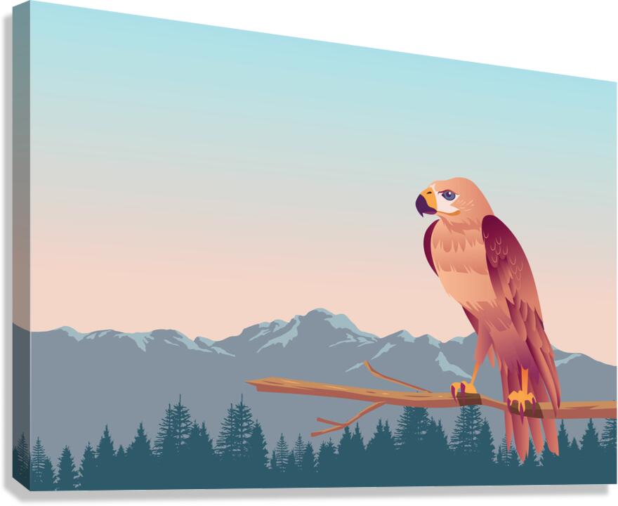 Beautiful buzzard Canvas Print