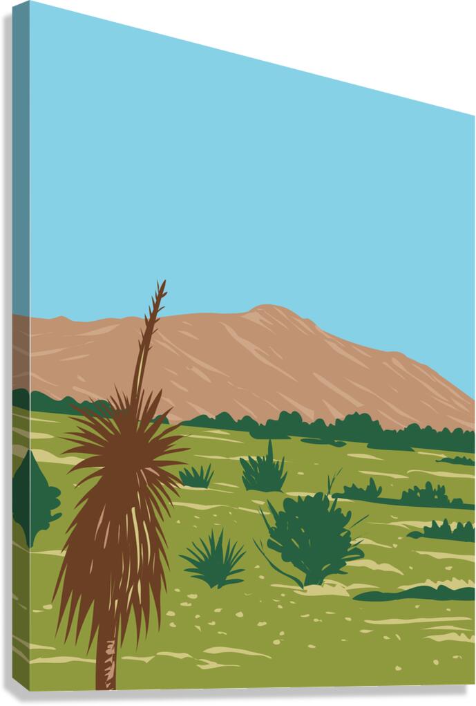 Rincon Peak Canvas Print