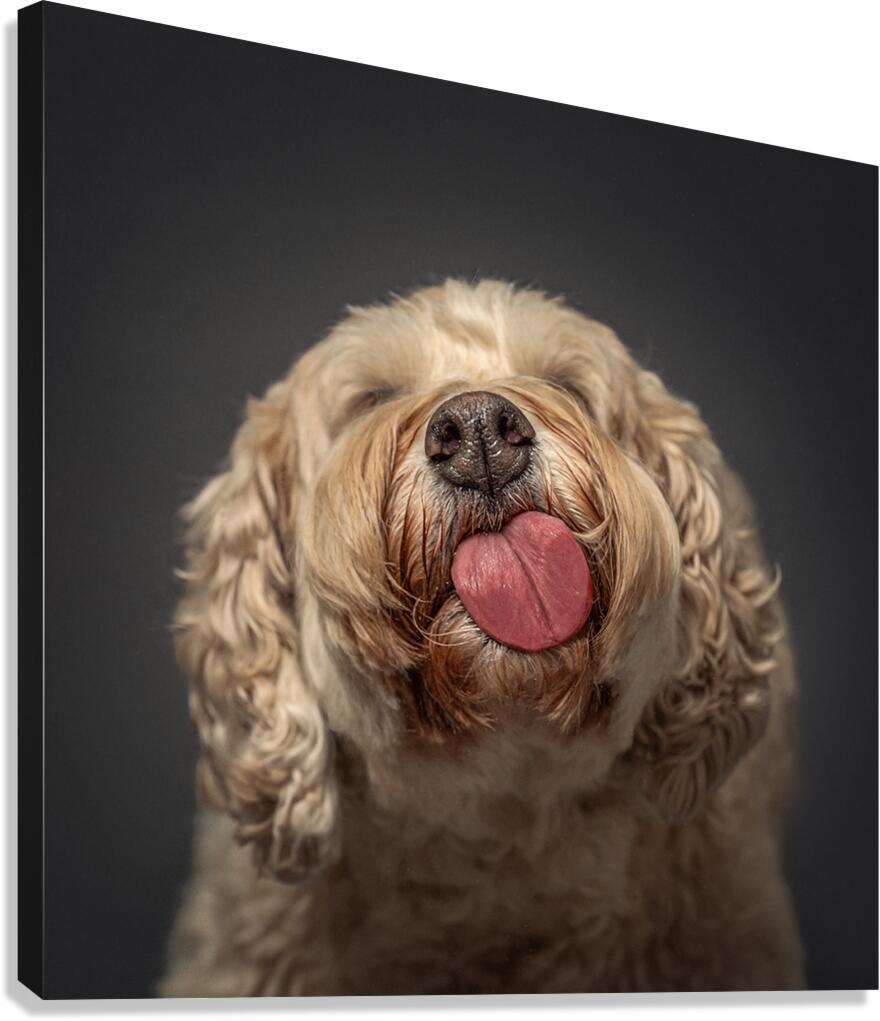 Doodle Kisses Canvas Print