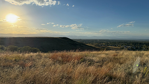 Bluffs