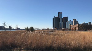 RenCen Grass