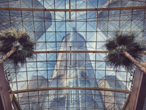 RenCen Palm