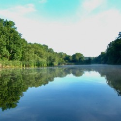 River trees