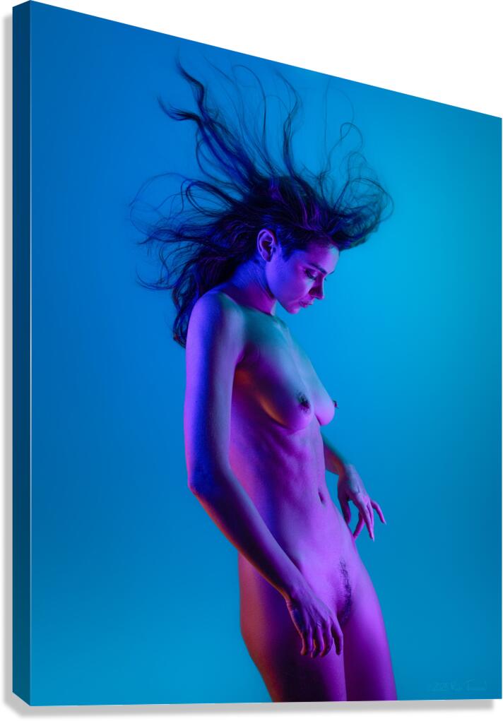 when made external. Canvas Print