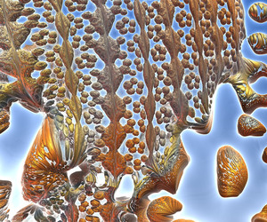 Abstract Rock Pool