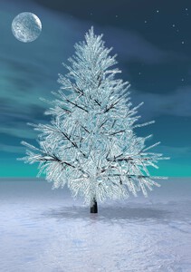 Christmas Moonlight