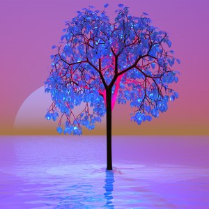 Tree Sunset