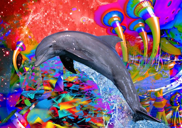 Dolphin Color Splash Print