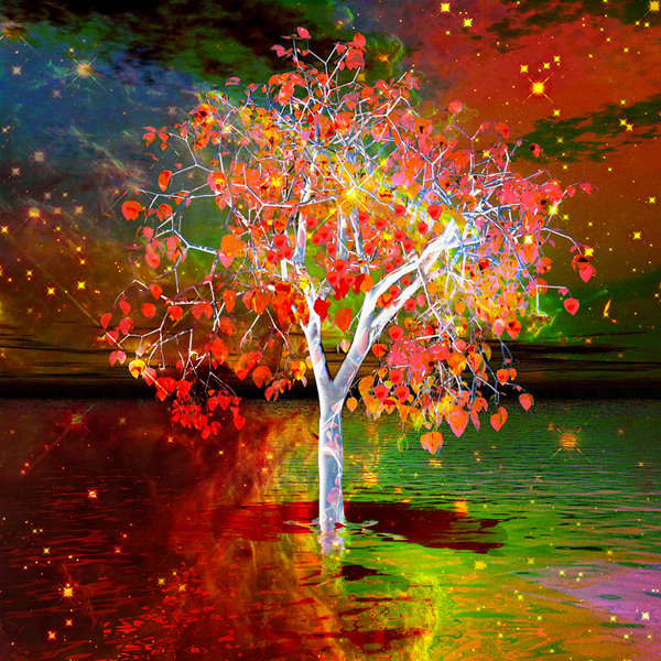 Star Tree Print