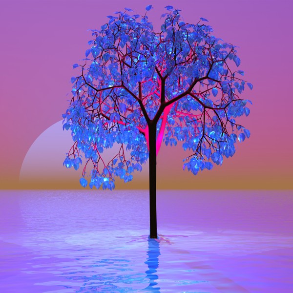 Tree Sunset Print