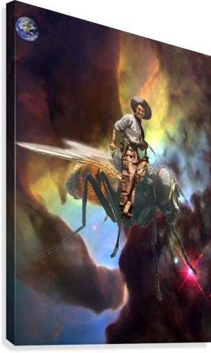 Space Cowboy Canvas Print
