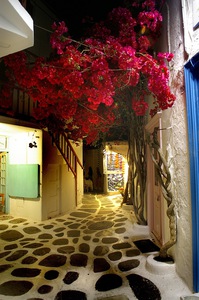 Santorini Street