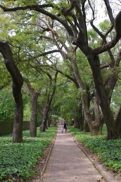 Hopeland Gardens Aiken SC Print