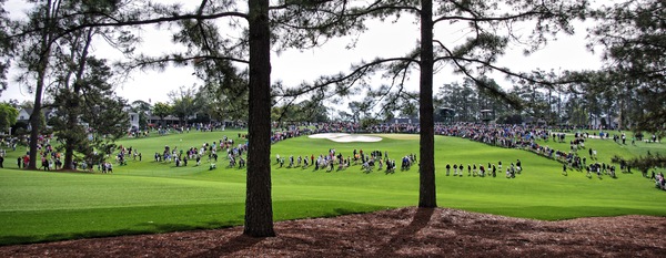 Masters Crowd Print