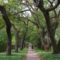 Hopeland Gardens Aiken SC