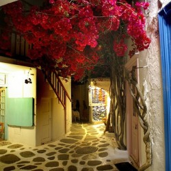 Santorini Street
