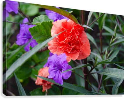 Blended Canvas Print