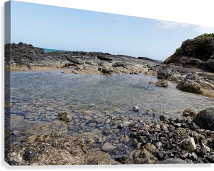 Cool Waters Canvas Print