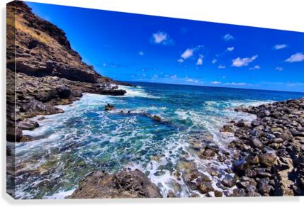 Launch Point 2020 Canvas Print