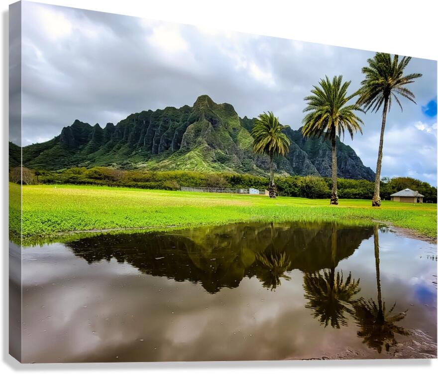 Kualoa 2021 Canvas Print